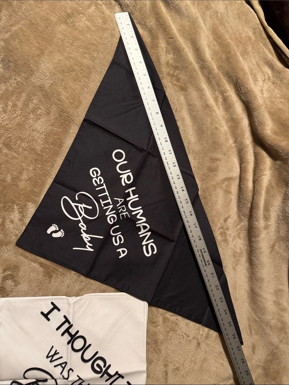 Set of 2 Dog Bandanas pregnancy announcement props